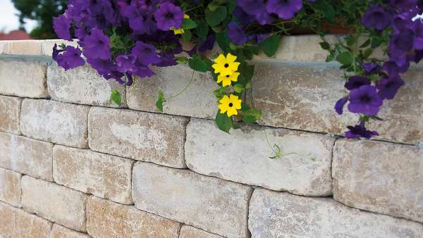 Frühwald Petra falazóko - Morva agyag