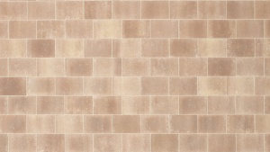 Leier Dom natúr térkő - Sepia