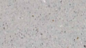 Leier Pillér kúpos fedlap - Finomszórt