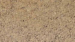 Leier Rollo térkő - Mogyoró