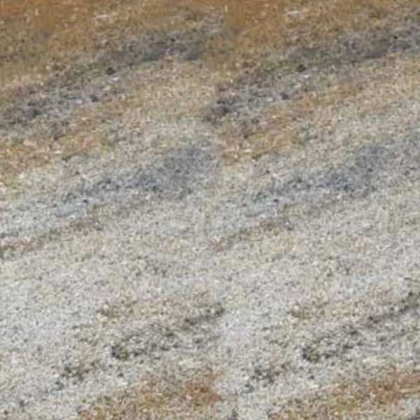 SW Írottkő térkő 6 cm - Kagyló